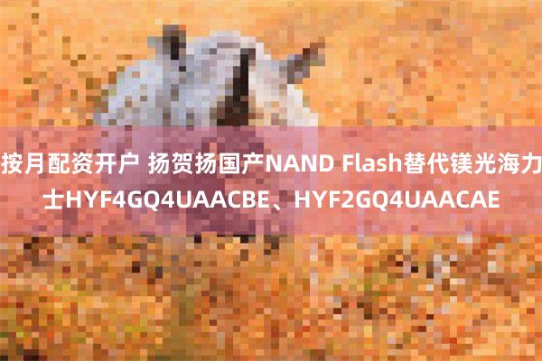 按月配资开户 扬贺扬国产NAND Flash替代镁光海力士HYF4GQ4UAACBE、HYF2GQ4UAACAE