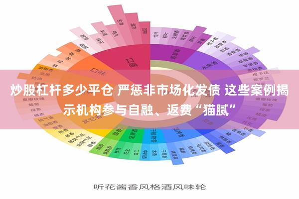 炒股杠杆多少平仓 严惩非市场化发债 这些案例揭示机构参与自融、返费“猫腻”