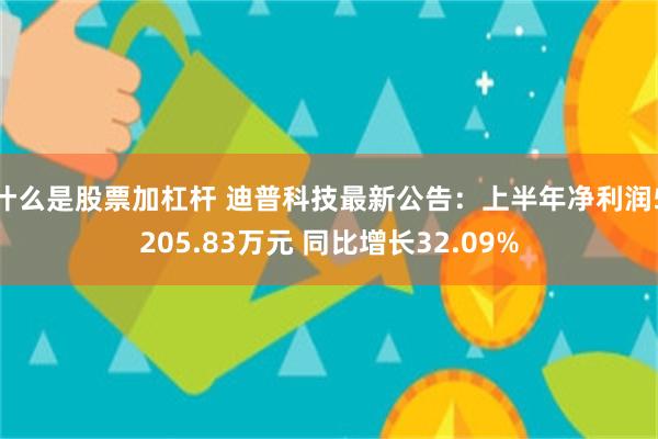 什么是股票加杠杆 迪普科技最新公告：上半年净利润5205.83万元 同比增长32.09%