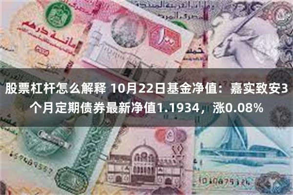 股票杠杆怎么解释 10月22日基金净值：嘉实致安3个月定期债券最新净值1.1934，涨0.08%