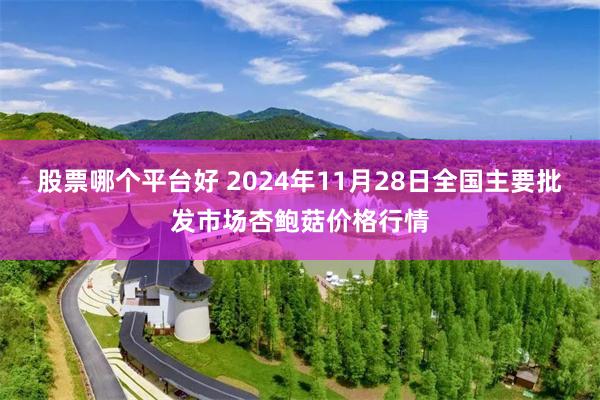 股票哪个平台好 2024年11月28日全国主要批发市场杏鲍菇价格行情