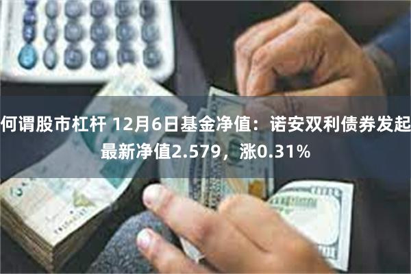 何谓股市杠杆 12月6日基金净值：诺安双利债券发起最新净值2.579，涨0.31%