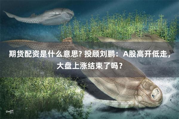 期货配资是什么意思? 投顾刘鹏：A股高开低走，大盘上涨结束了吗？