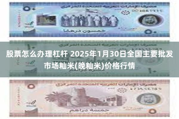 股票怎么办理杠杆 2025年1月30日全国主要批发市场籼米(晚籼米)价格行情