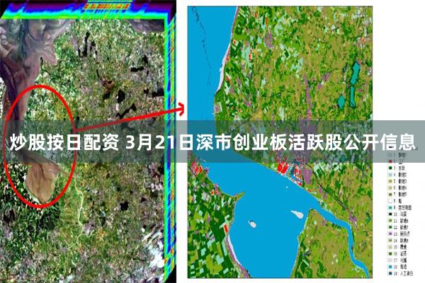 炒股按日配资 3月21日深市创业板活跃股公开信息