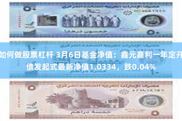 如何做股票杠杆 3月6日基金净值：鑫元嘉利一年定开债发起式最新净值1.0334，跌0.04%